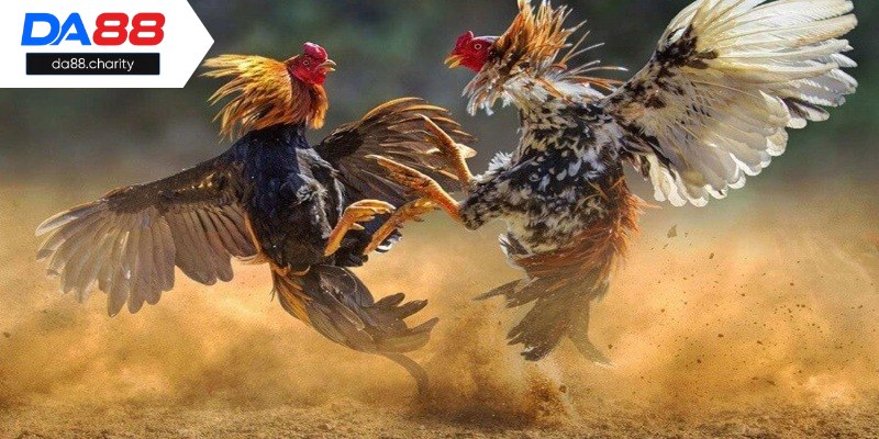 Lý do sảnh game được ưa chuộng