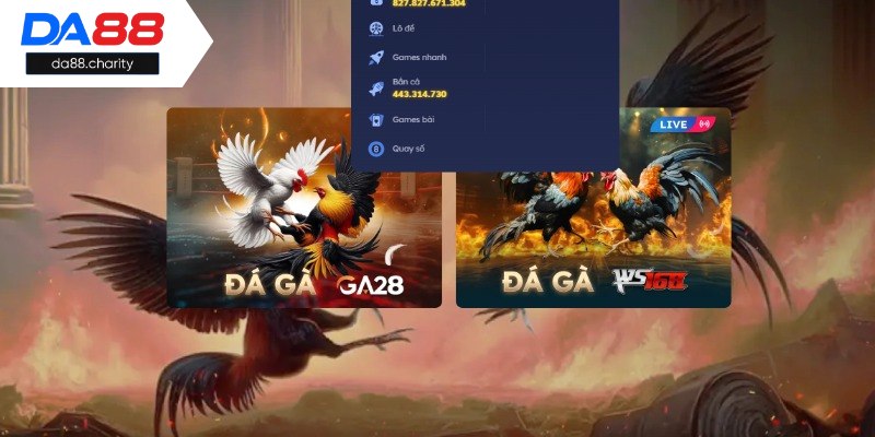 Những thông tin chính về sảnh chơi thú vị