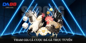 Tham Gia Cá Cược Đá Gà Trực Tuyến